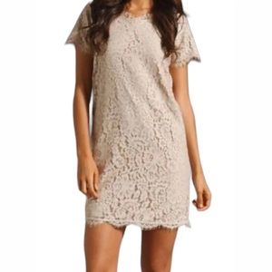 Joie Dresses Joie Susina Lace Dress Cream XS